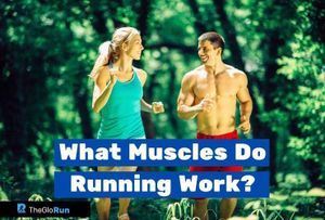 What Muscles Do Running Work? Answer for each Runner