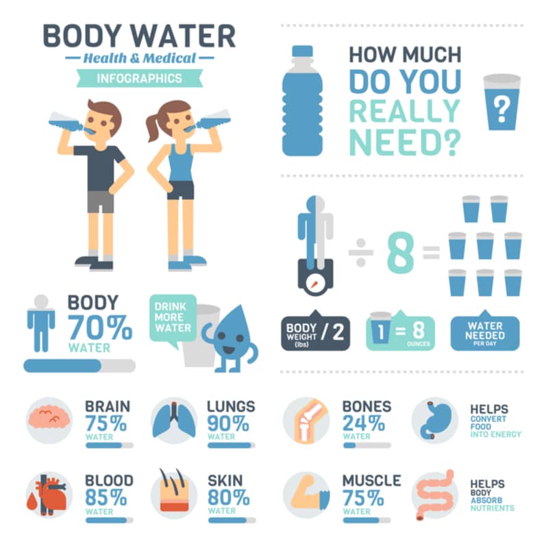 Infographics about body water