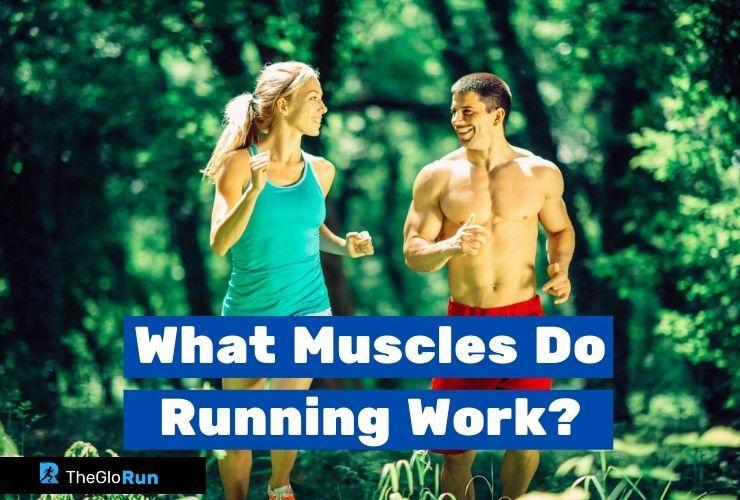 What Muscles Do Running Work? Answer for each Runner
