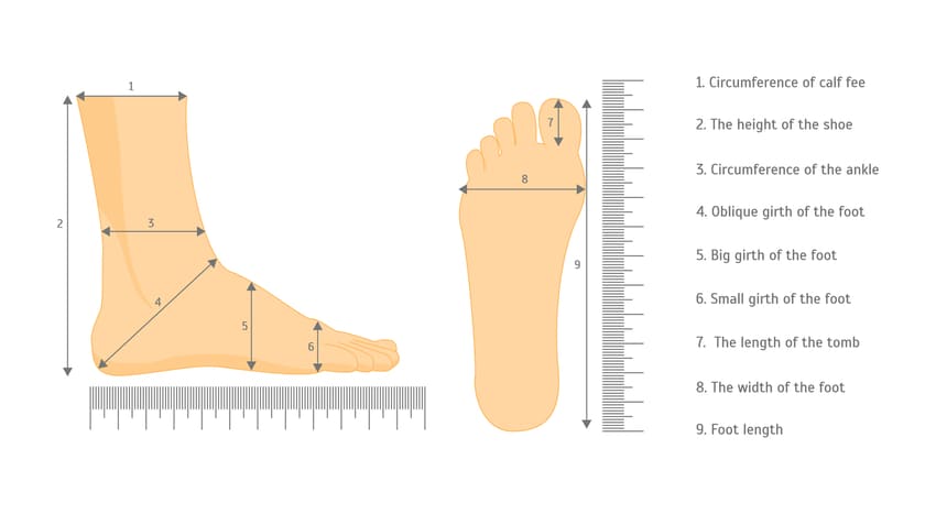 measure the feet